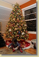 Christmas-Home-Pics-Dec2013 (3) * 5184 x 3456 * (8.19MB)